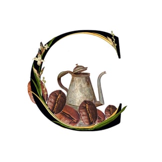 Coffee Absolute Media